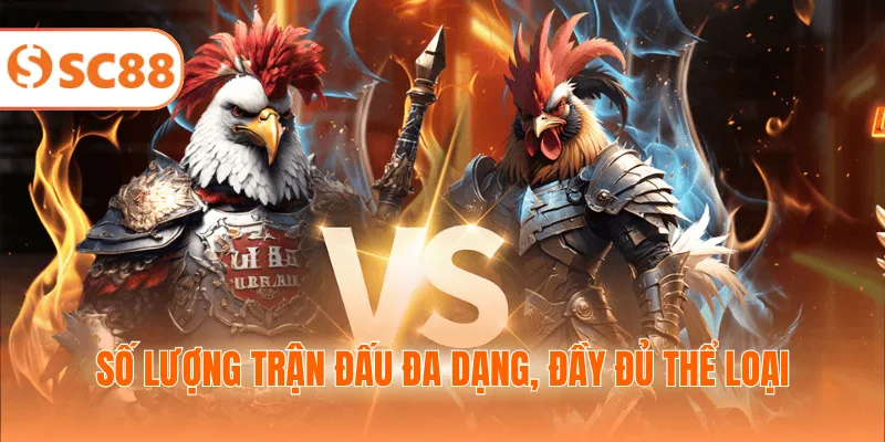 Số lượng trận đấu đa dạng, đầy đủ thể loại